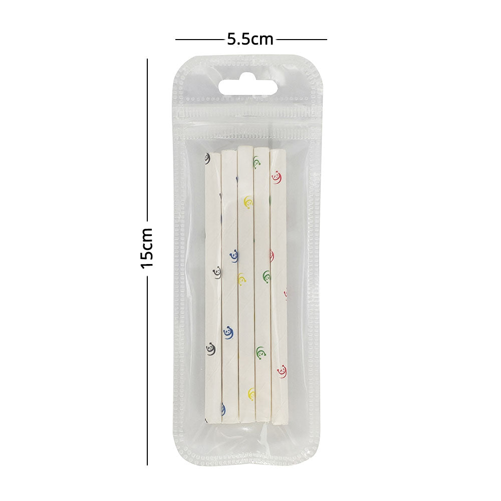 Multi-Size Eco PP Zip Lock Plastic Bag Front Clear Mylar Flat Tear Notch Pouch USB Cable Storage Bag With Hang Hole
