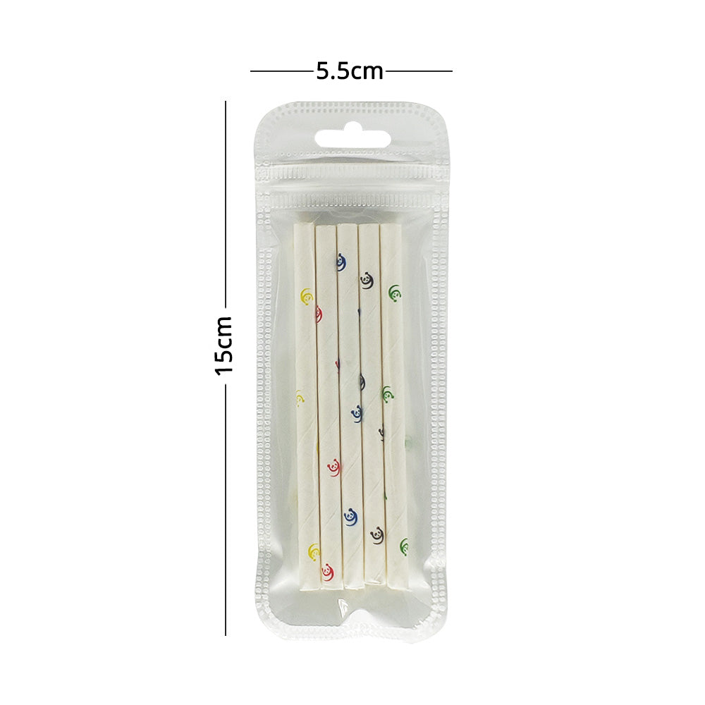 Multi-Size Eco PP Zip Lock Plastic Bag Front Clear Mylar Flat Tear Notch Pouch USB Cable Storage Bag With Hang Hole